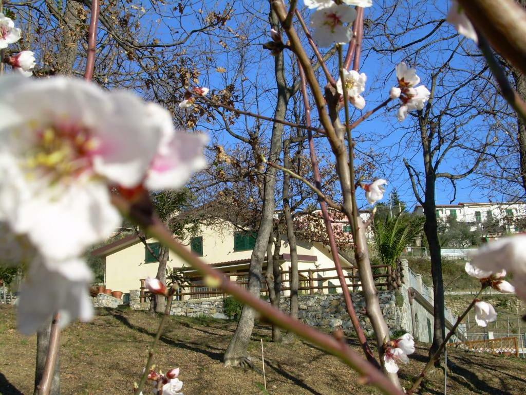 Appartement Ariabuona à Moneglia Extérieur photo